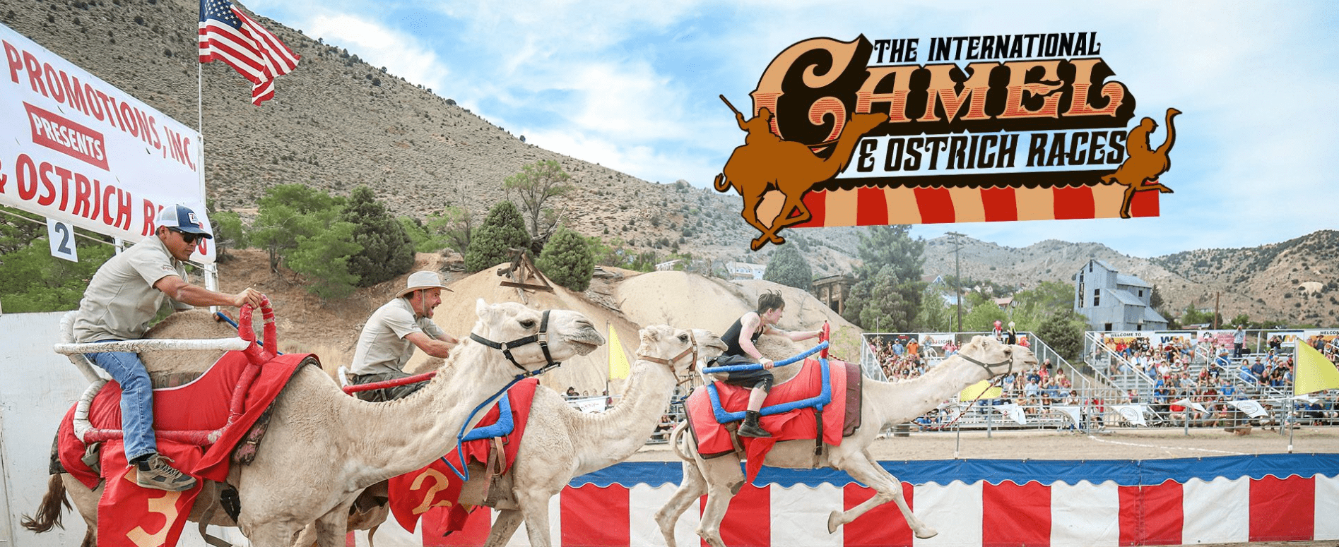 64th International Camel and Ostrich Races Return to Virginia City (NV) September 8-10 2023