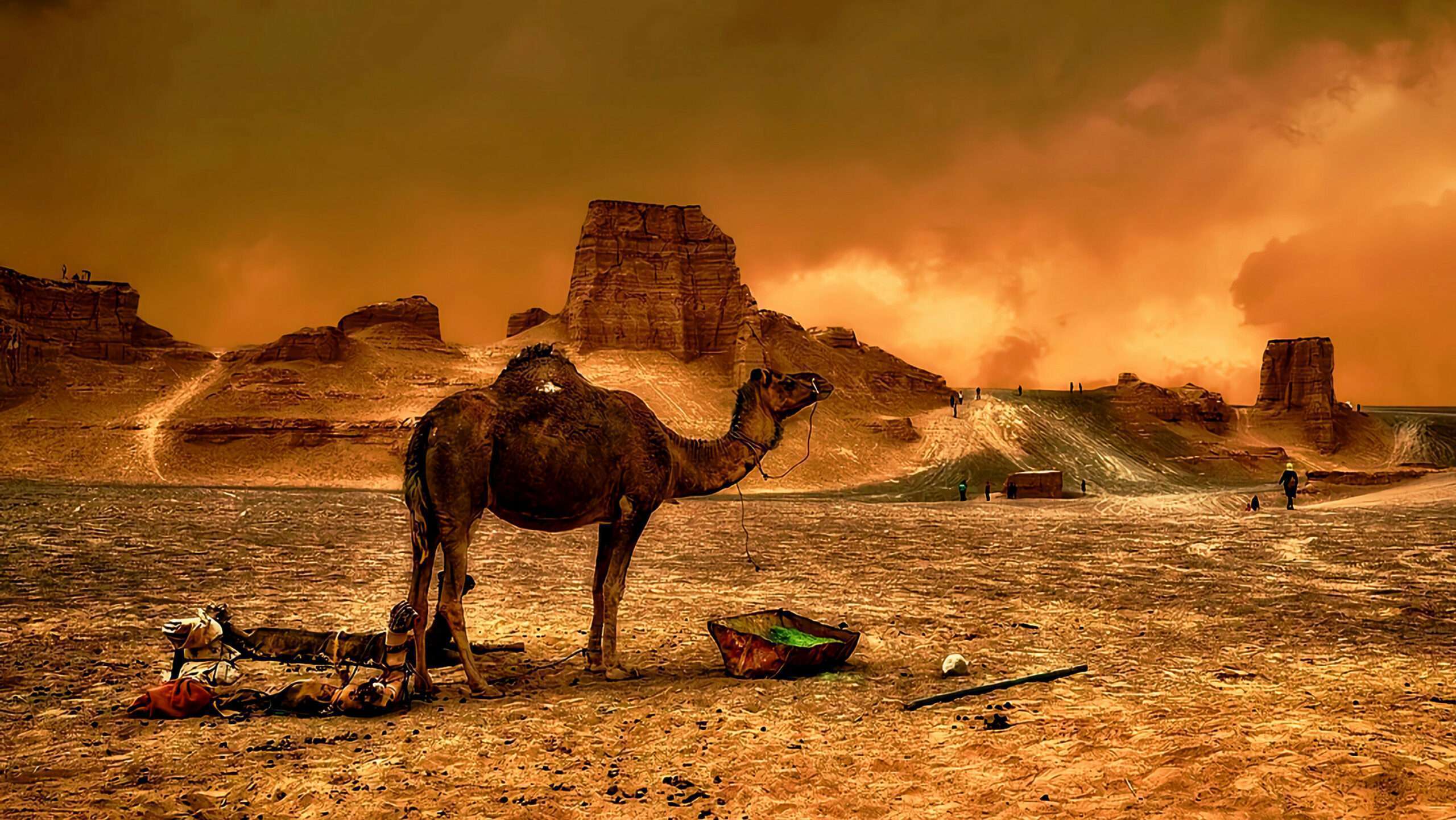 The hottest desert in the world is the Lut Desert in Iran