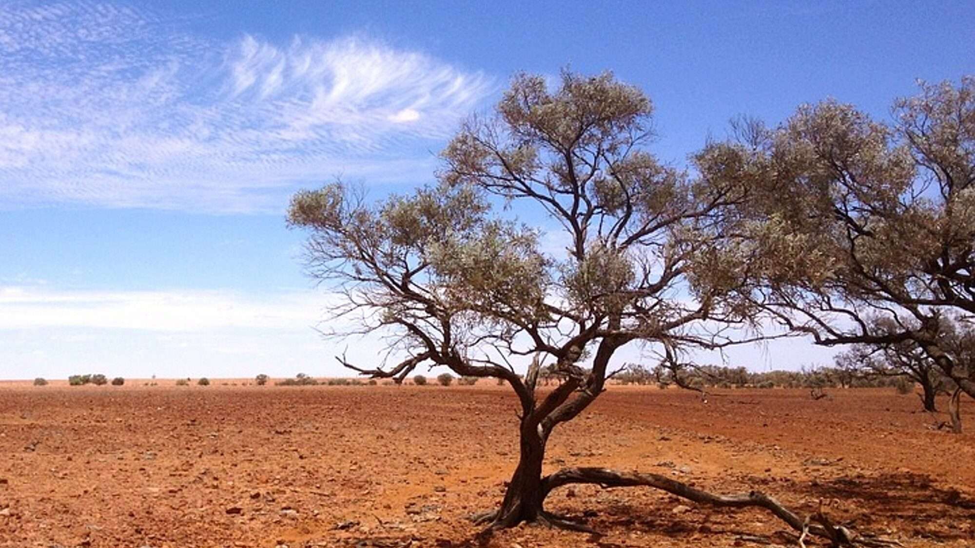 Desert Travel: Simpson Desert, Australia