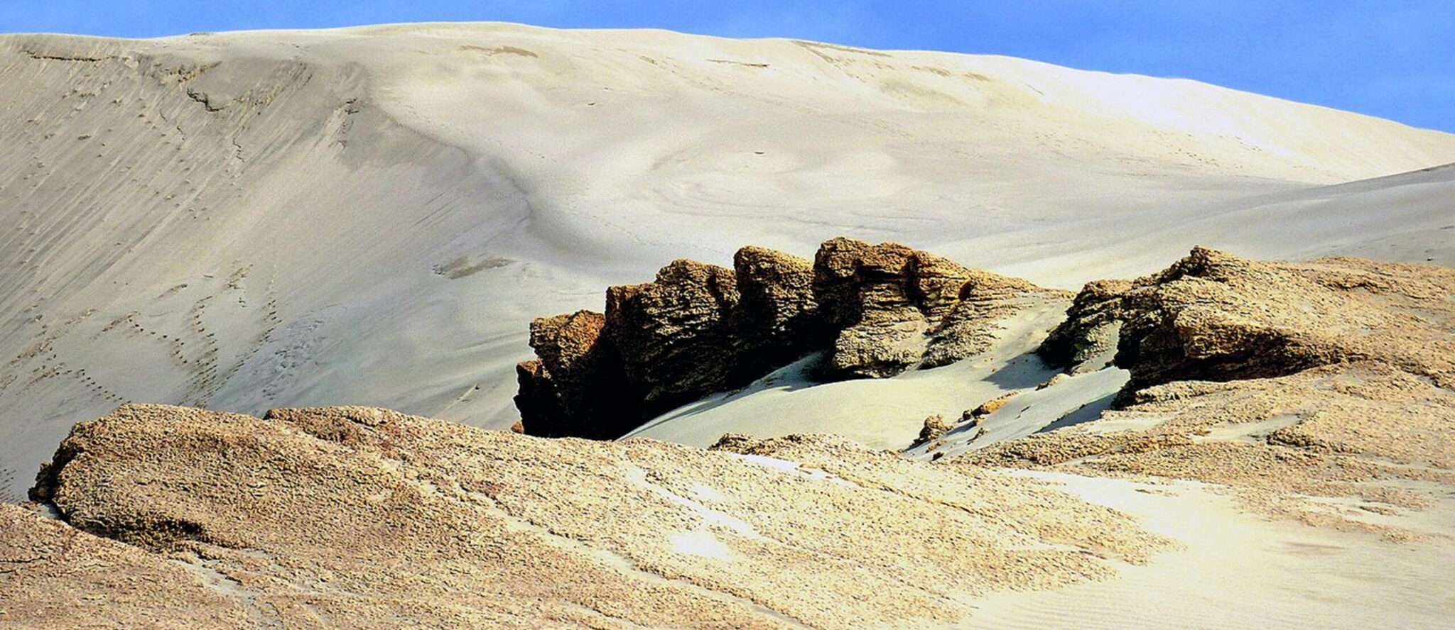 Te Paki Sand Dunes. Northland, New Zealand