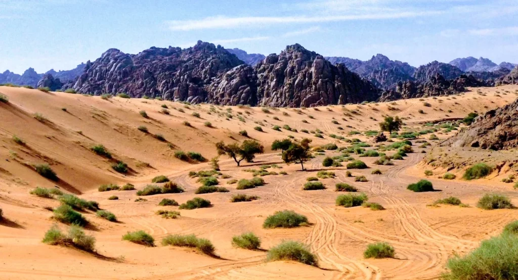 Is Saudi Arabia Turning Green?