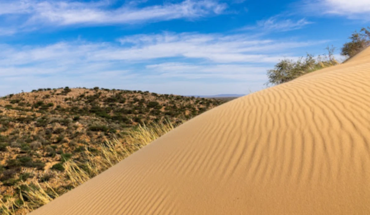 Dunes de sable de la réserve naturelle de Witsand