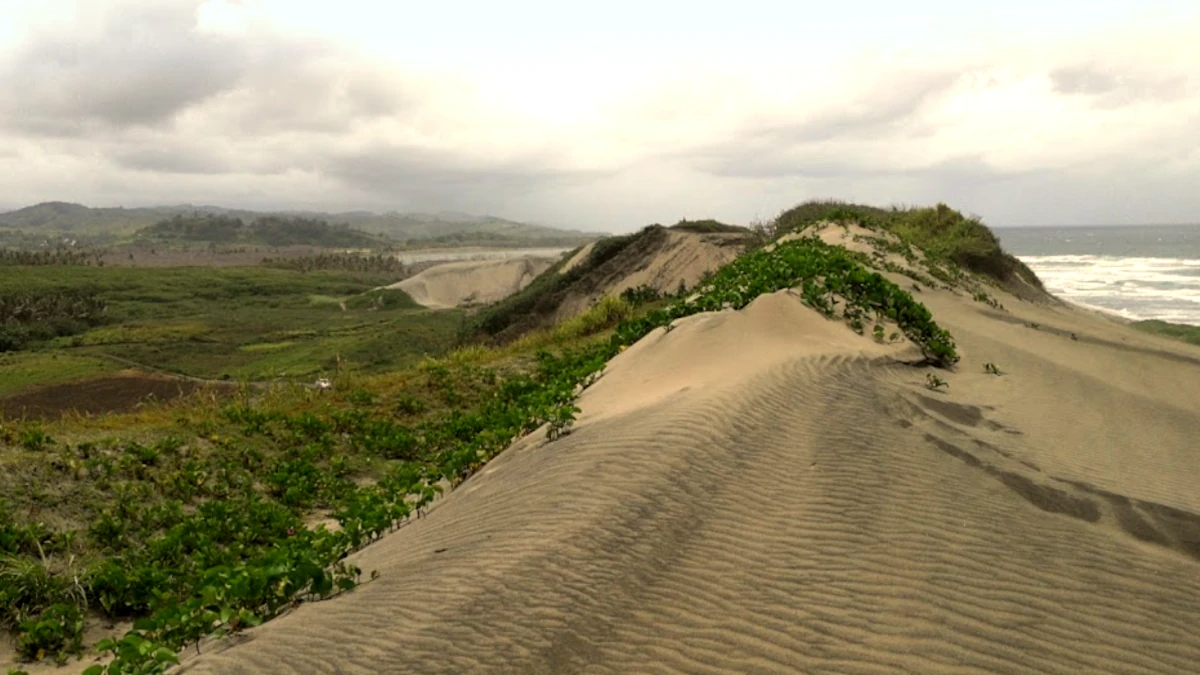 Sandboarding at Sigatoka Sand Dunes. Viti Levu, Fiji