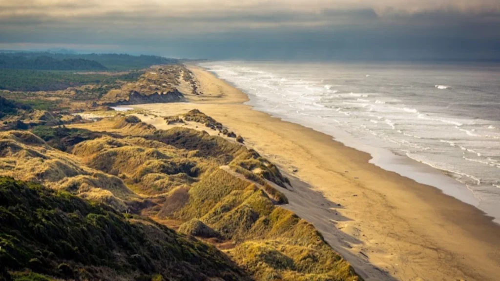 Oregon Sand Dunes - The Inspiration for "Dune" 