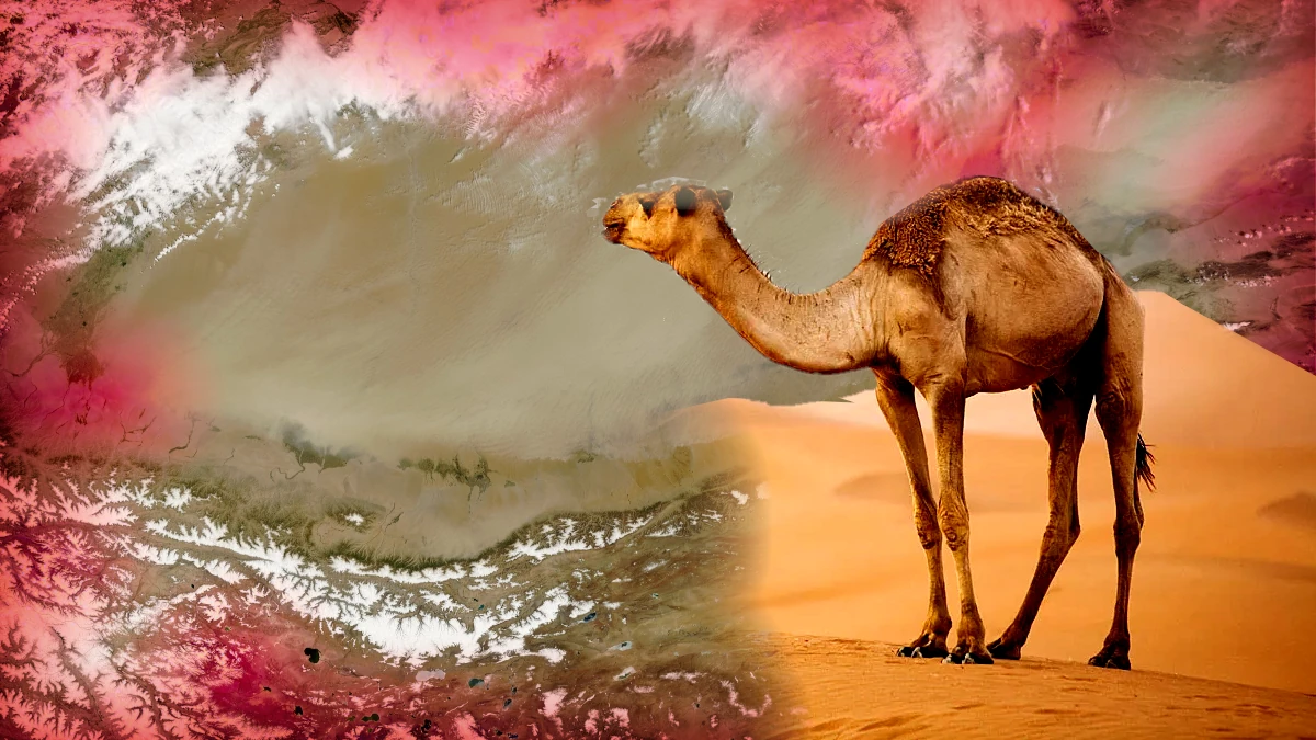 why is the taklamakan desert considered one of the most dangerous desert in the world?