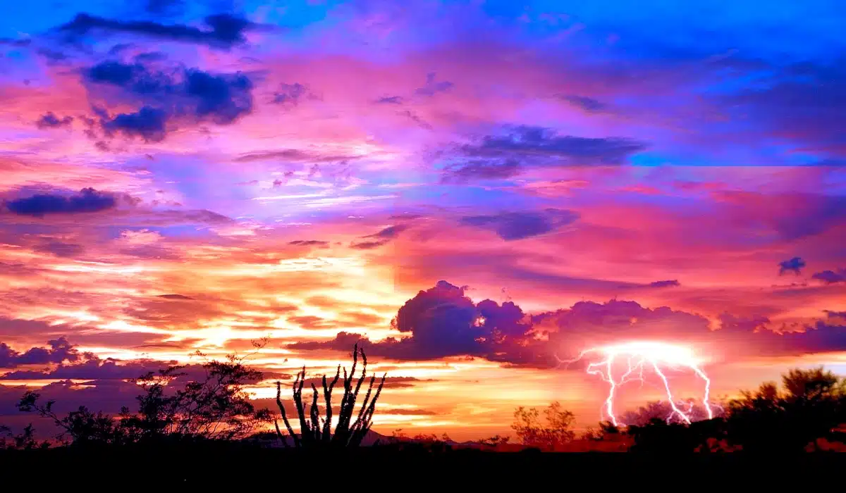 Did you know that the Sonoran Desert is the world's wettest desert? With annual rainfall ranging from 76 to 500 millimeters, this desert defies traditional expectations of aridity.